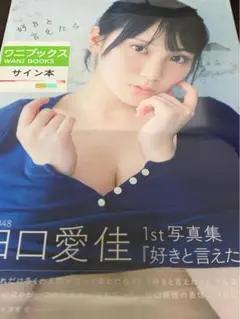 田口愛佳 1st写真集 「 好きと言えたら 」 直筆サイン入り AKB48