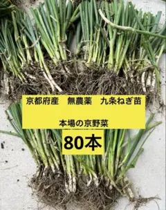 2025年最新】九条ネギの人気アイテム - メルカリ