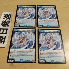 パラディソサイクリカスター サイクリカ. star