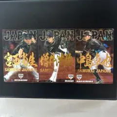 プロ野球チップス　侍ジャパンチップス　金ネーム