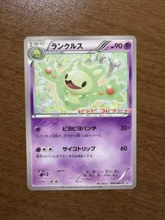 ランクルス HP90 レッドコレクション