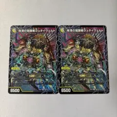 時空の停滞シュタイヴァル / 停滞の覚醒者シュタイヴェルト 2枚②