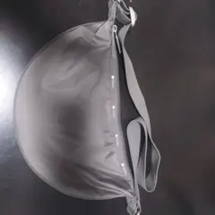 LeSportsac　エッセンシャル　スリングバック