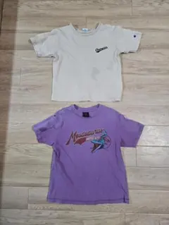 Champion & Mosasaurus Tシャツセットのサムネイル