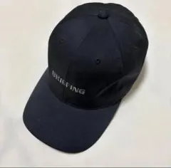 Item thumbnail for item e9252511-3f91-4435-ae75-6e784254212d