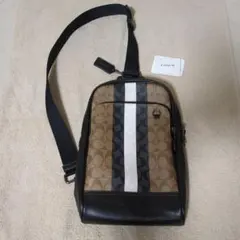 Item thumbnail for item 8abb6c27-edd6-4549-a444-e909dee460ae