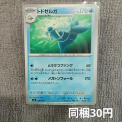 【在庫2】トドゼルガ まとめ買いのサムネイル