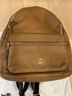 COACH ブラウン レザー リュック 保存袋付き