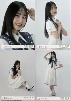 2025年最新】向井純葉生写真の人気アイテム - メルカリ