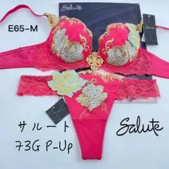 新品タグ付き Salute サルート 73 P-UPブラ F65 SG 足立梨花 - メルカリ