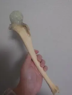 【超貴重】タリカム様 真正アブラメリン魔導師の邪悪な骨の暗闇に光るロッド