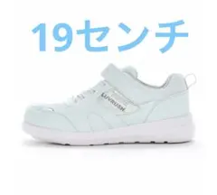 Item thumbnail for item 07b8a7da-c623-4260-8027-cbaca297c303