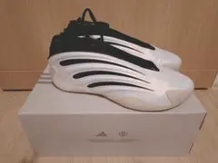 29cm バスケットボール