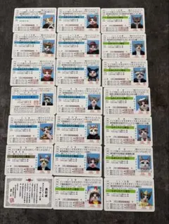 SNKキャラクター インストラクションカード - メルカリ