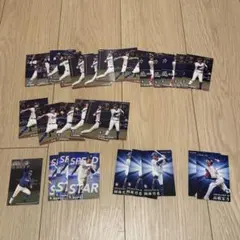 プロ野球チップス カード 中日ドラゴンズ まとめ売り