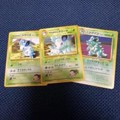 サカキのニドラン♀ニドリーナ ニドクイン