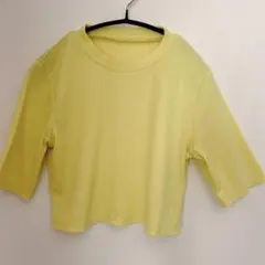 トップス ショート丈 イエロー 黄色 リブ カットソー  クルーネック 5分袖