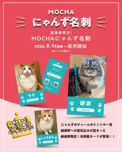 羽生店　猫カフェMOCHA にゃんず名刺 総選挙限定カード