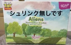 トイストーリー エイリアンズ シークレット パキポディウム グラキリス