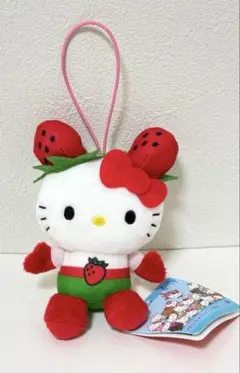 2025年最新】イチゴマンの人気アイテム - メルカリ