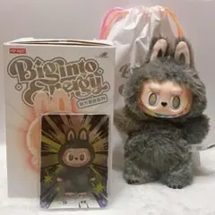 2025年最新】POPMART labubu シークレットの人気アイテム - メルカリ