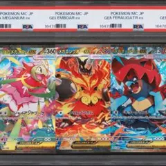 ポケモンカード スタートデッキ100 御三家 PSA10 3連番 メガメガニウム