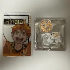 ハイキュー‼︎ 日向 ファンパーク
