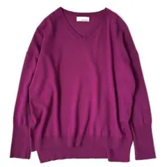 グリーンレーベルリラクシング アンゴラカシミヤ Vネック ニット 38 パープル