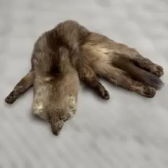 襟巻き年代物　キツネ？