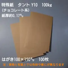 特殊紙 ペーパークラフト