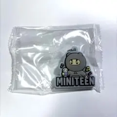 SEVENTEEN miniteen バーノン ノンバ めじるしアクセサリー