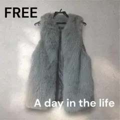A day in the life アデイインザライフ フェイク ファーベスト