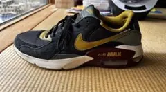 Nike Air Max ブラック/ゴールド
