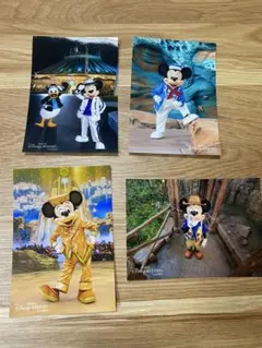 ディズニー　写真　ミッキー