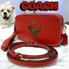 【新品未使用】恐竜刺繍 ボディバッグ　COACH 恐竜刺繍 ボディバッグ COACH