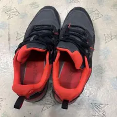 adidas TERREX トレッキングシューズ GORE-TEX 27.5cmのサムネイル