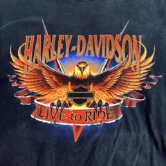 花村想太さん着用 Hurley Davidson ベースボールシャツ☆ハーレー