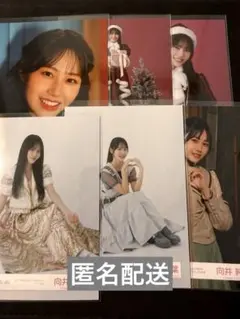 櫻坂46 生写真 向井純葉 6枚セット