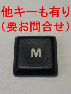 キー1個（ロジクールK800用）