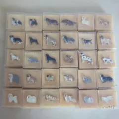 2026年最新】コラソン商会の人気アイテム - メルカリ