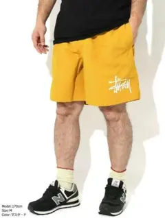 ステューシー STUSSY ハーフパンツ ショートパンツ 水陸両用のサムネイル