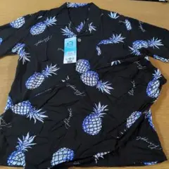 Item thumbnail for item 817a65c9-f482-4030-8c35-0b2415ffc030