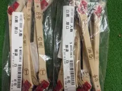 Item thumbnail for item 97880347-8a4f-4b1f-838f-bf9e5179e37f