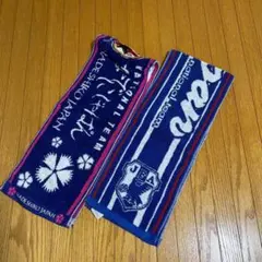 Item thumbnail for item e06ca1f3-9431-4cf9-93d8-d9bb9774ffc9