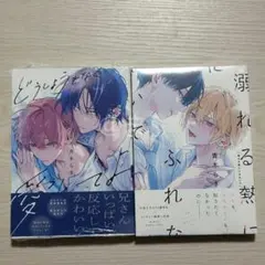 新品(シュリンク有)★どうしようもなく愛してよ　溺れる熱にふれないで★青木らき