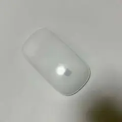 Apple Magic Mouse 本体