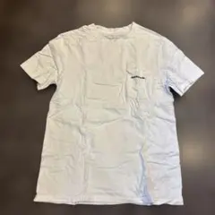 Patagonia ポケット付きTシャツ ホワイト Lのサムネイル