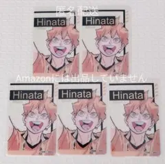 ハイキュー ファンパーク 箔押しクリアカード 日向 5枚セット