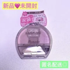 CANMAKE 新品 未開封 プランぷくコーディネイトアイシャドウ 02 涙袋
