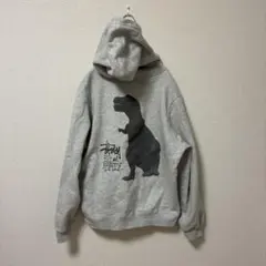 OLD　STUSSY◎90s 恐竜 フルジップ パーカー old stussy 90s ジップパーカー グリーン フェード フォトプリント